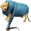 Painless Dog Dryer Jacket